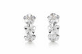 Silver flower earrings